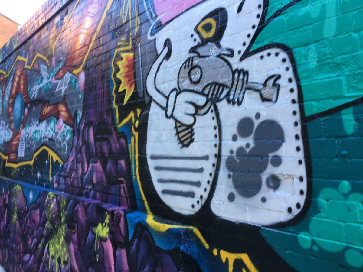 Big Bird Backpackers Albergue Brisbane Exterior foto