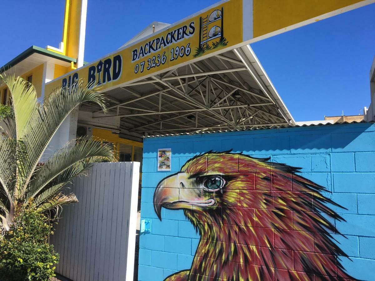 Big Bird Backpackers Albergue Brisbane Exterior foto